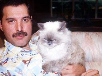 freddie mercury tiffany