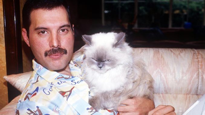 freddie mercury tiffany