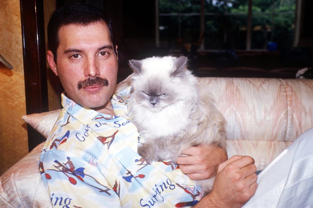 Freddie Mercury & Tiffany.