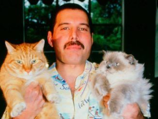 Freddie Mercury con Oscar y Tiffany