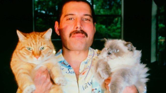 Freddie Mercury con Oscar y Tiffany