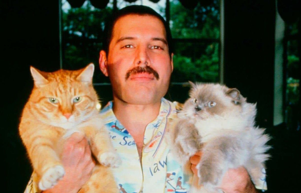 Freddie Mercury con Oscar y Tiffany