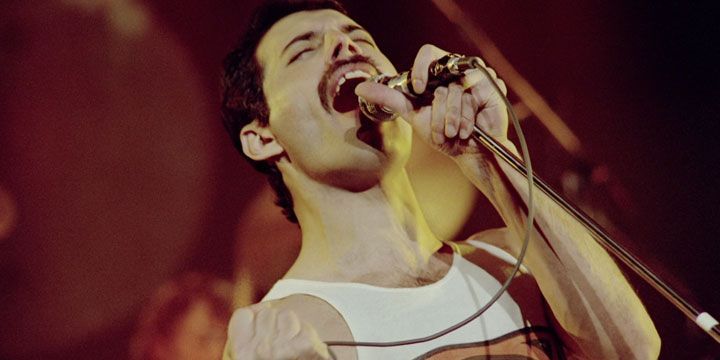 Freddie Mercury, en 1981. Freddie Mercury, en 1981.