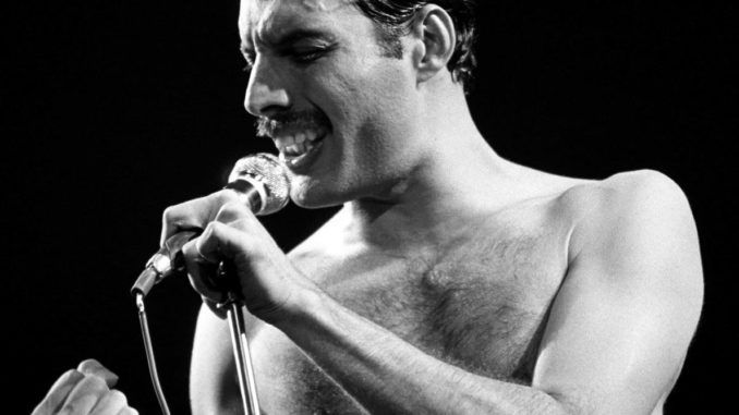 freddie mercury