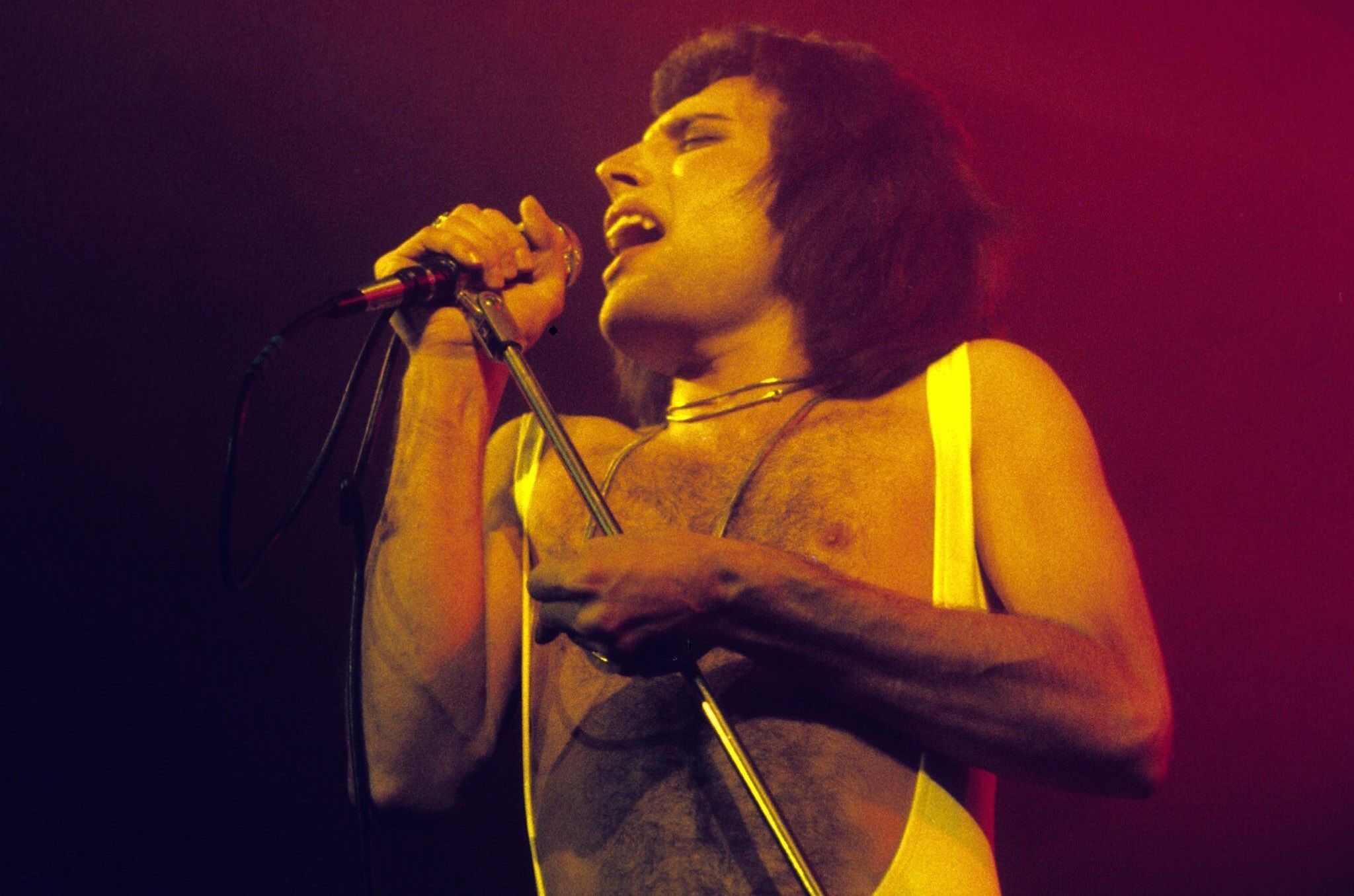 freddie mercury queen hyde park 1976