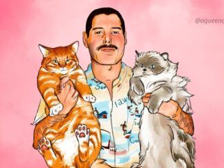 freddie mercury queen cats gatos aqueenofmagic