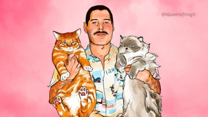 freddie mercury queen cats gatos aqueenofmagic