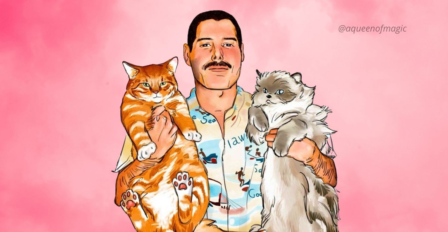 Freddie Mercury: "Dedico este álbum todos amantes de los gatos"