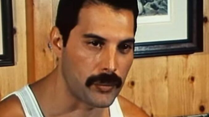 freddie mercury