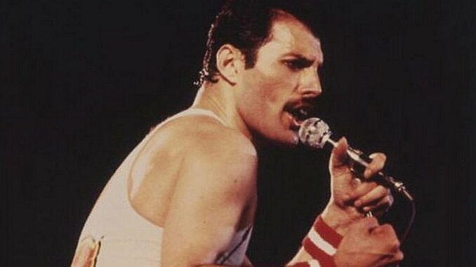 freddie mercury koi freddie mercury koi