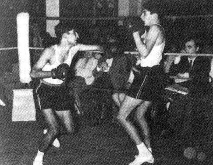 freddie mercury queen boxeo