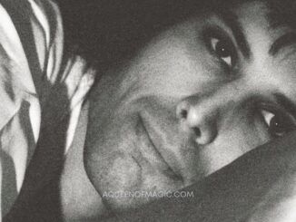 love freddie libro